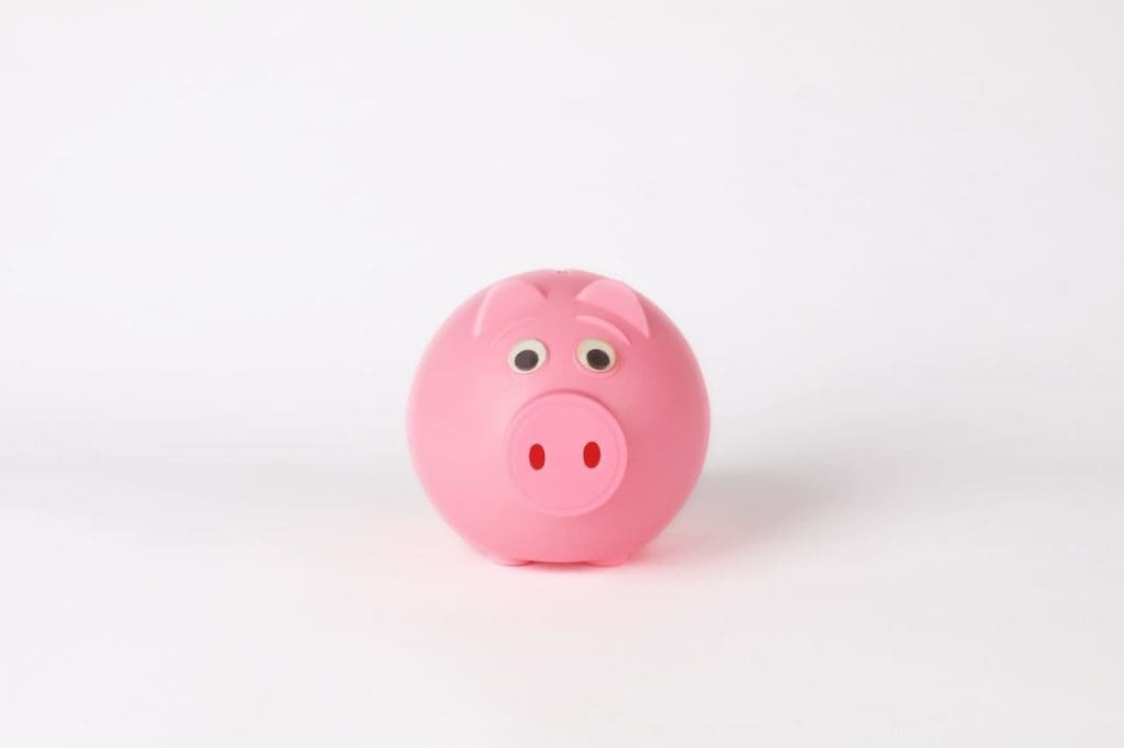 piggy bank to show app development costs as one of the questions to ask app developers