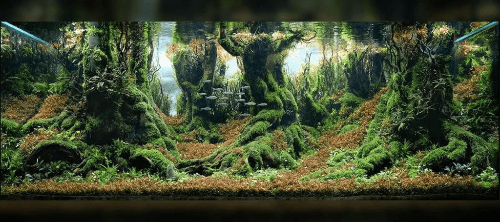 idea for an ai based app that produces beautiful aquascape designs