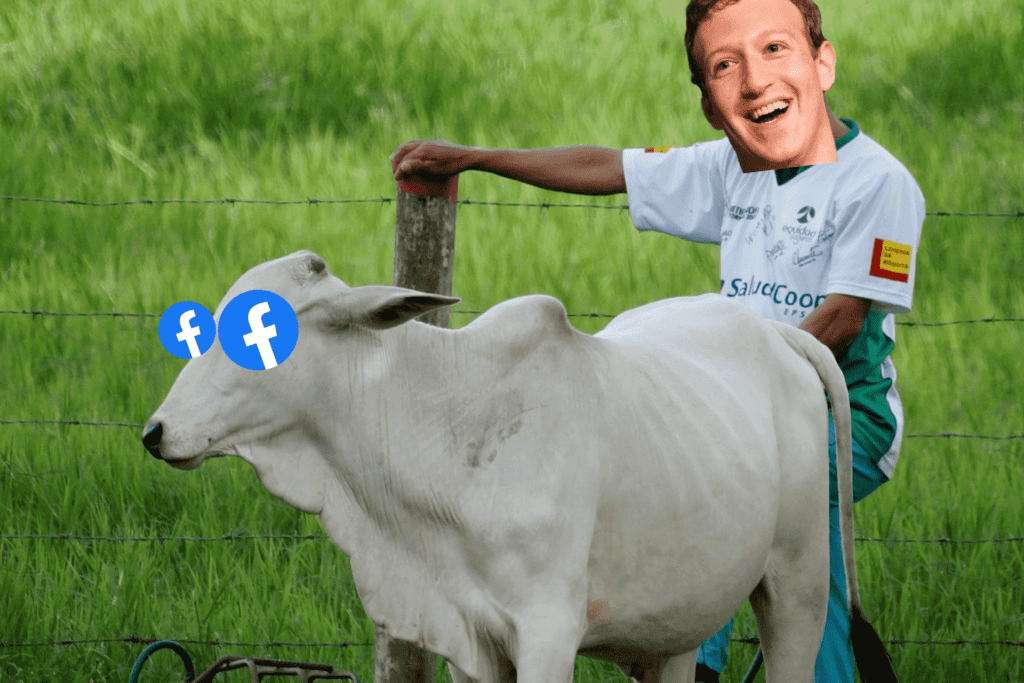 photo of mark zuckerberg to inspire readers on how to make money from app 