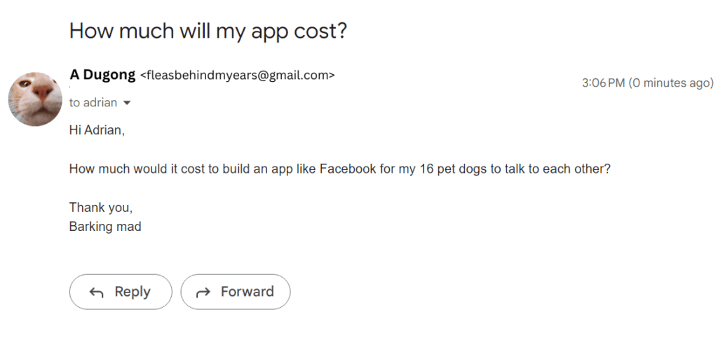 email example of founders asking how much will it cost to build their app