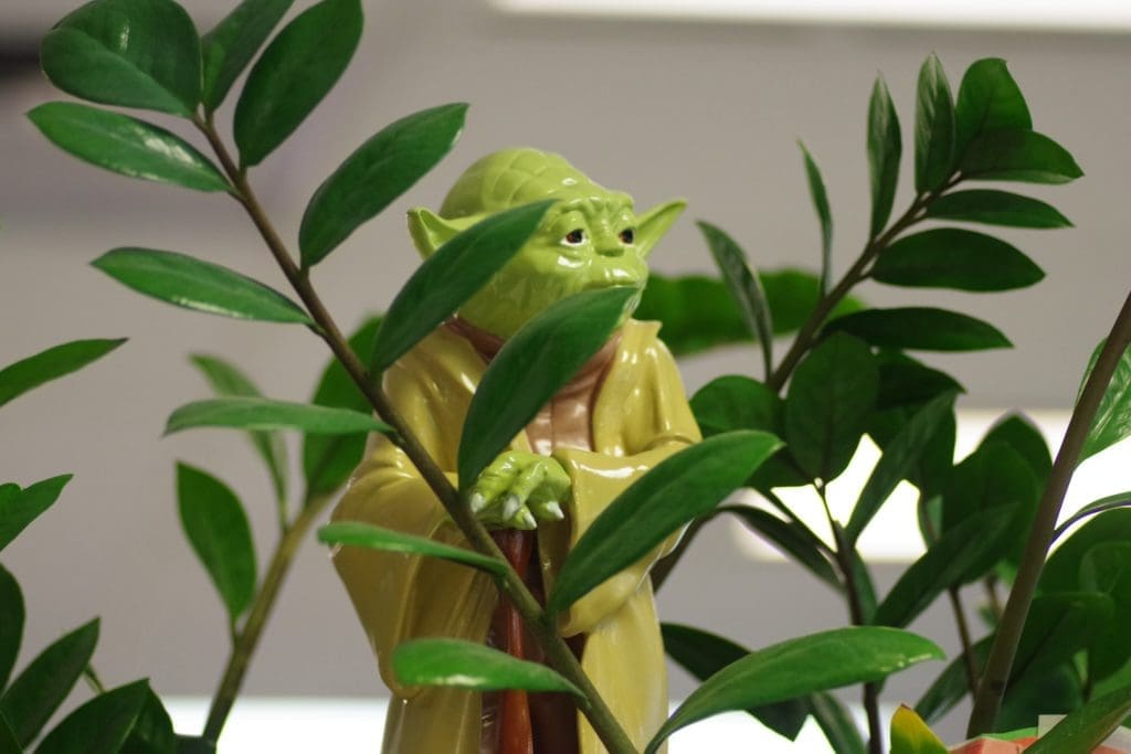 image of master yoda encouraging readers to join the product roadmapping workshop