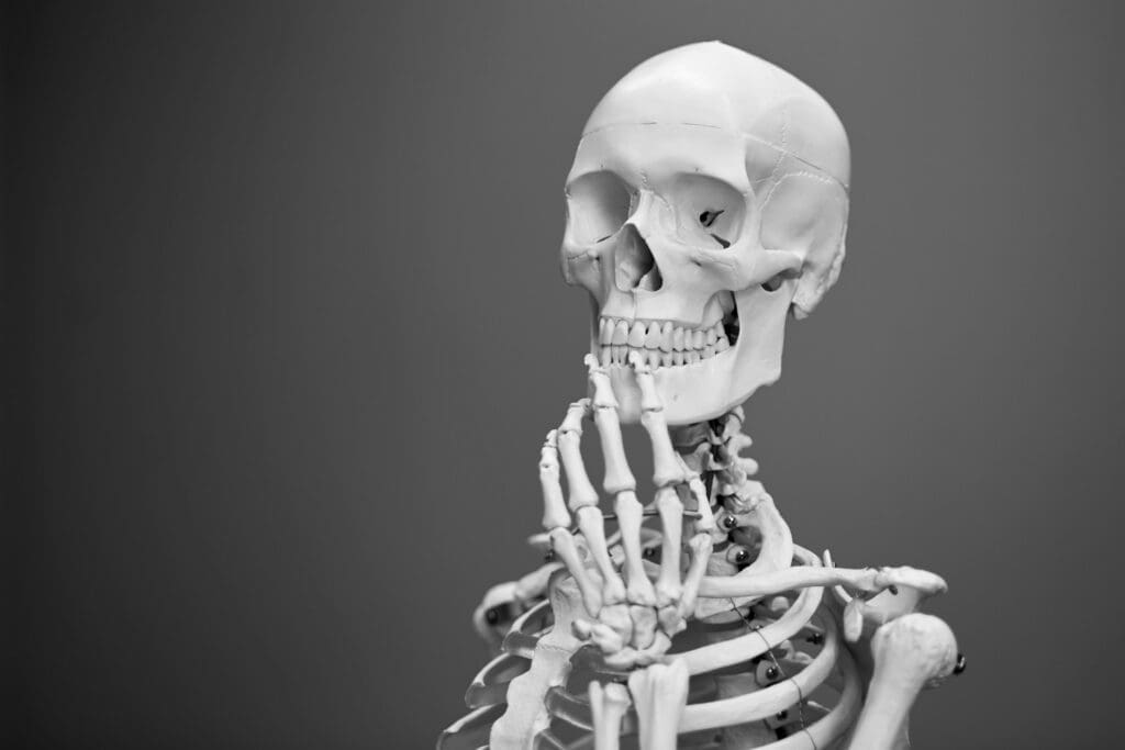 skeleton to show how much resourcces it takes to build a mobile app