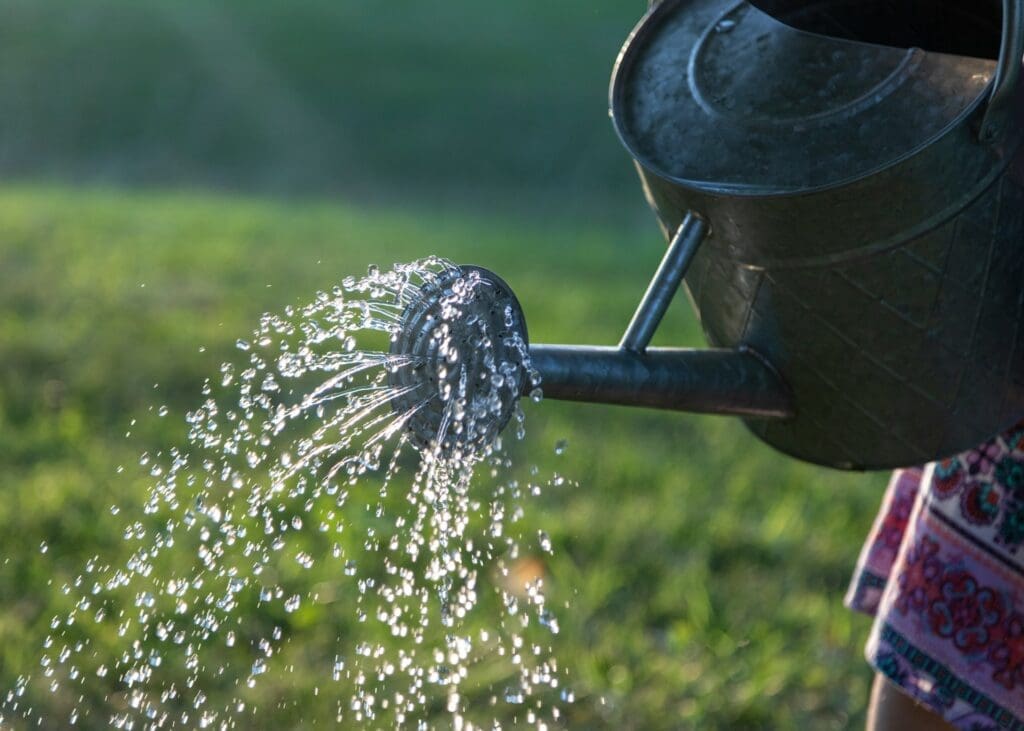 watering can as a joke about literally growing a SaaS like growing a plant