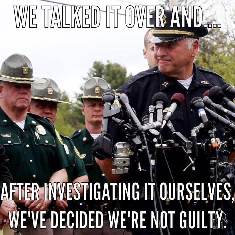 police self investigating meme as a humorous reference to developers declaring themselves the best offshore software development companies